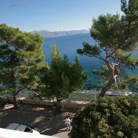 Apartments Tedeschi Korčula Extérieur photo